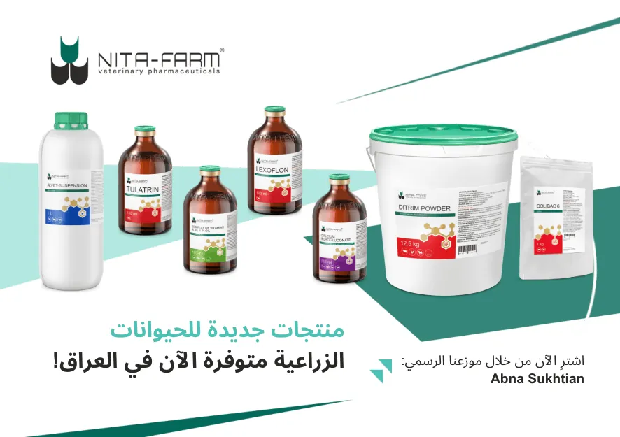 الآن في العراق: NITA-FARM توسّع محفظتها لقطاع الثروة الحيوانية!