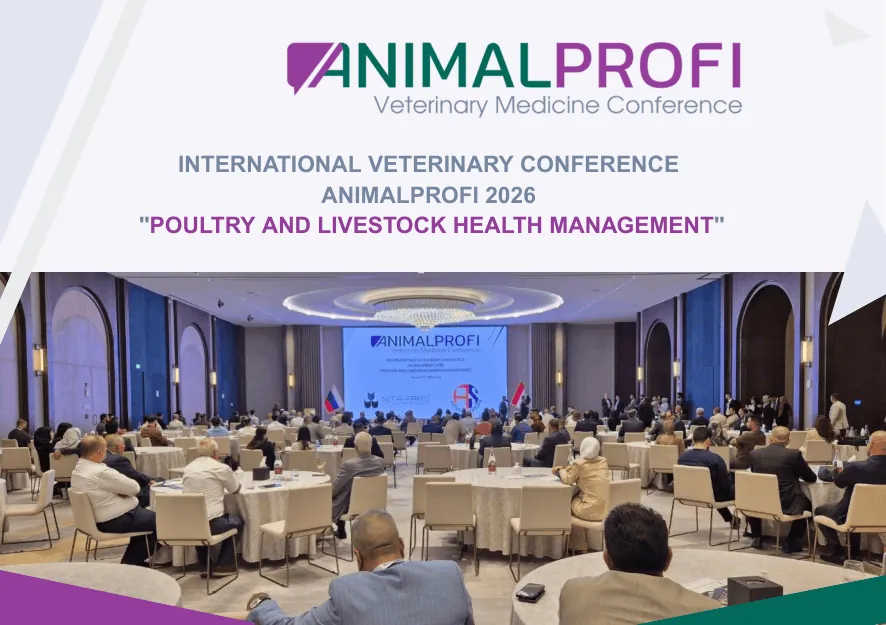 NITA-FARM in Iraq: an international dialogue on animal health